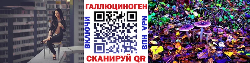 Псилоцибиновые грибы прущие грибы  Абаза 